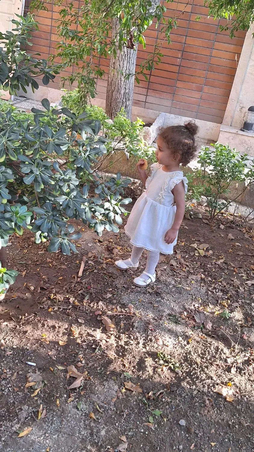 تدریس خصوصی دروس دبستان کاملا تضمینی و منصفانه|خدمات آموزشی|تهران, دانشگاه شریف|دیوار