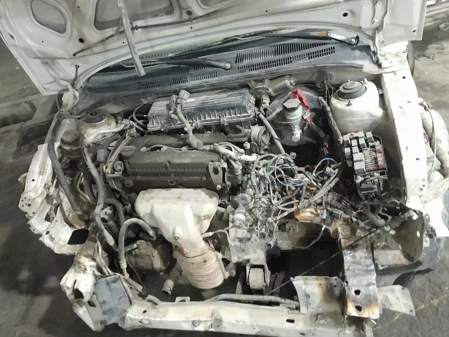 ریو مدل ۸۵|خودرو سواری و وانت|نسیمشهر, |دیوار