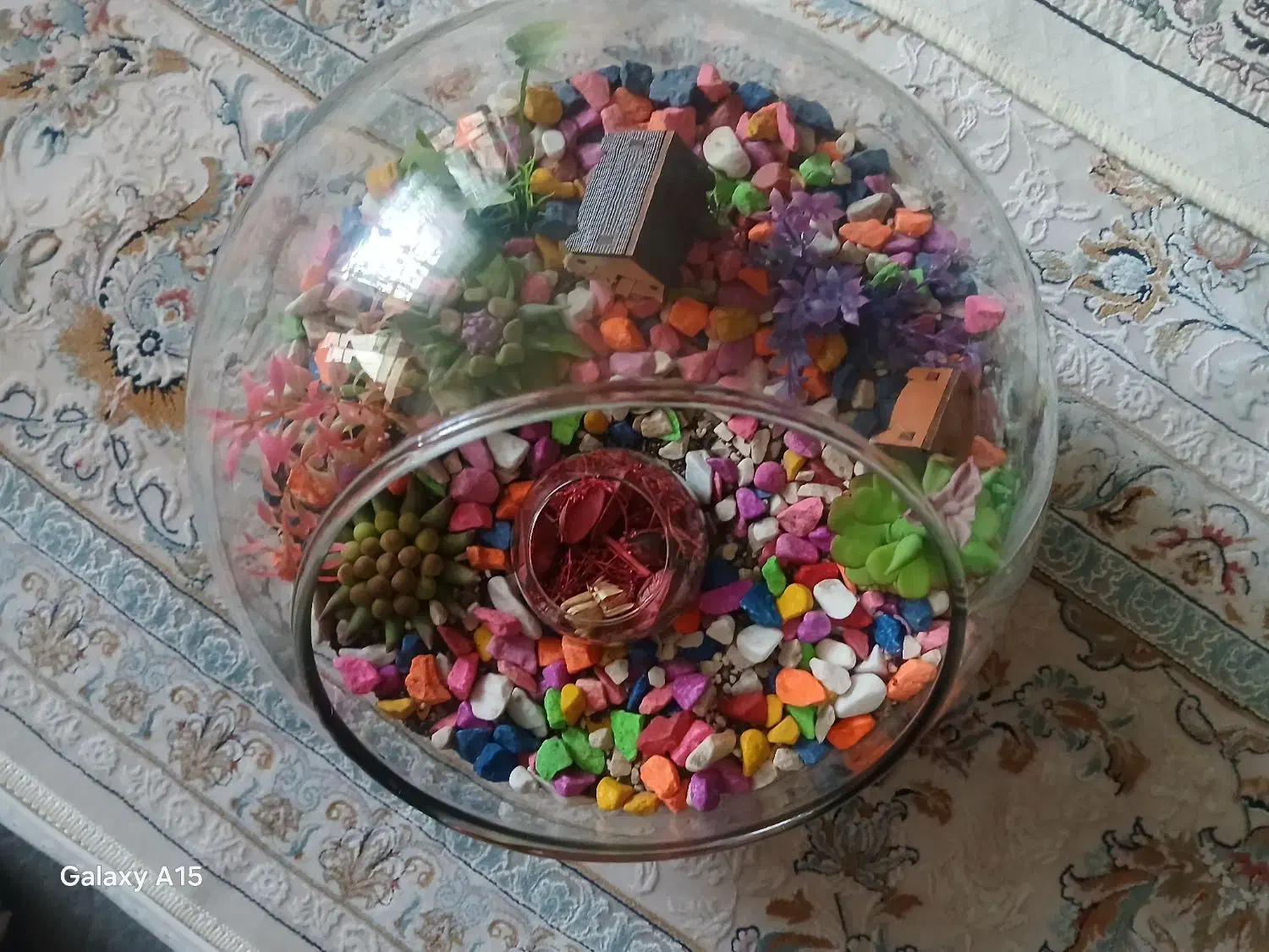 آکواریوم بزرگ|گل و گیاه طبیعی|مریوان, |دیوار