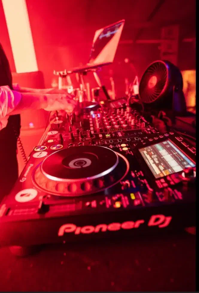 دی جی|خدمات پذیرایی، مراسم|گرگان, |دیوار