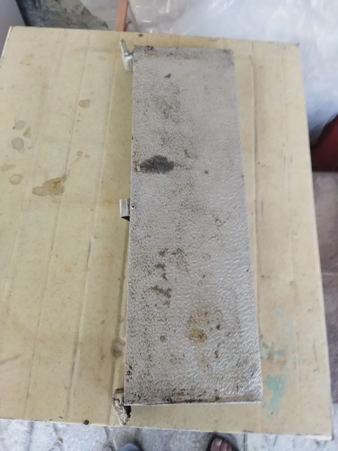 شربت خوری زنبور|لوازم جانبی حیوانات|رضویه, |دیوار