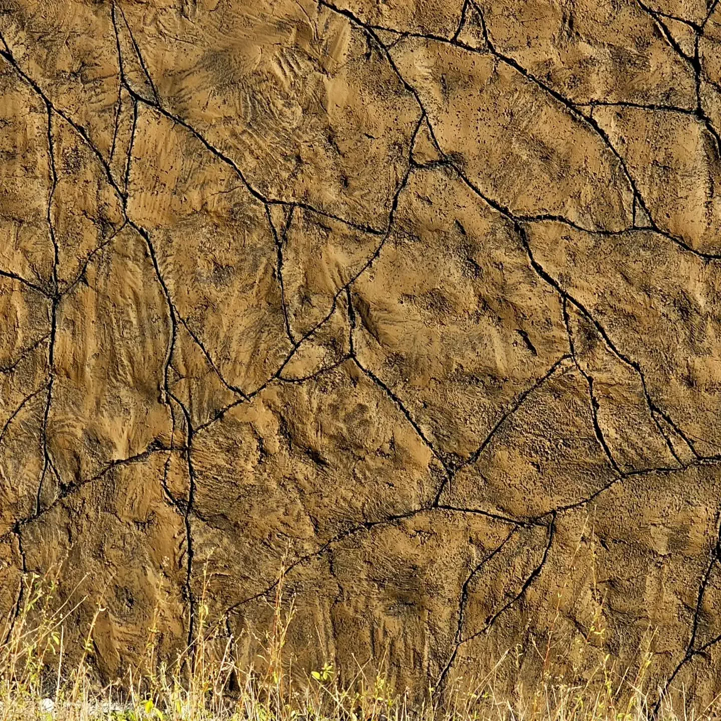 سنگ کار،کاشی،موزاییک سفال، بلوک،سیمان کار نصب درب|خدمات پیشه و مهارت|خمام, |دیوار