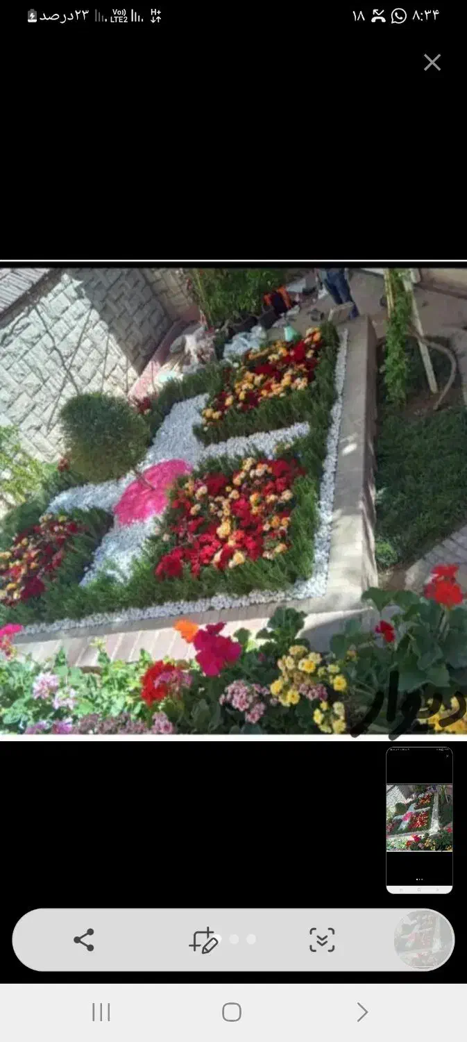 خدمات باغبانی باغچه کاری تعویض خاک گلدان کاشت.گل|خدمات باغبانی و درختکاری|تهران, پاسداران|دیوار