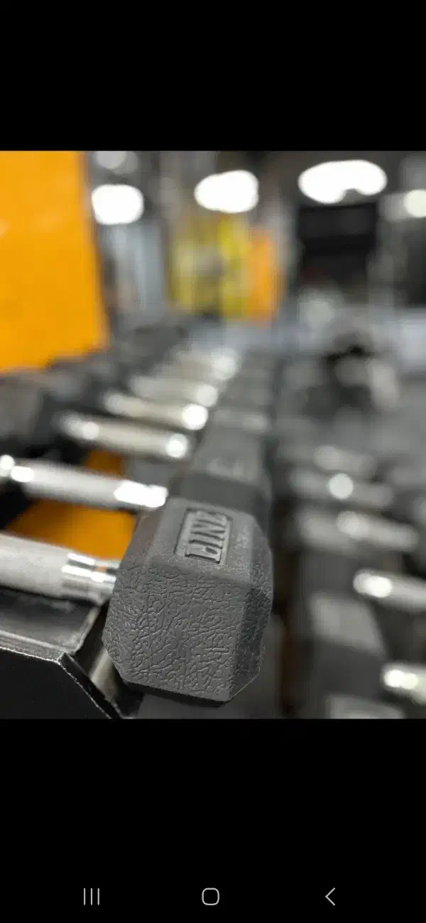 فروش یکجا تجهیزات باشگاه بدنسازی (فول. فوق تمیز)|تجهیزات ورزشی|قم, سالاریه|دیوار