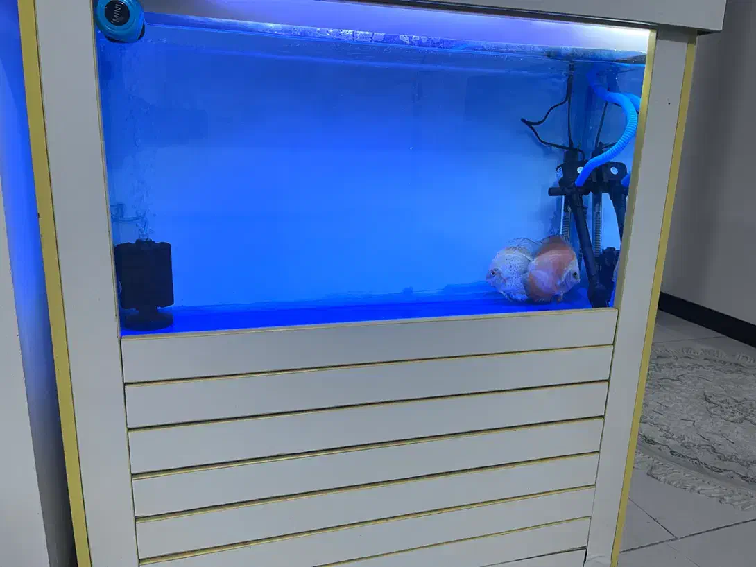 اکواریوم یک متری مجهز|ماهی|خرمآباد, |دیوار