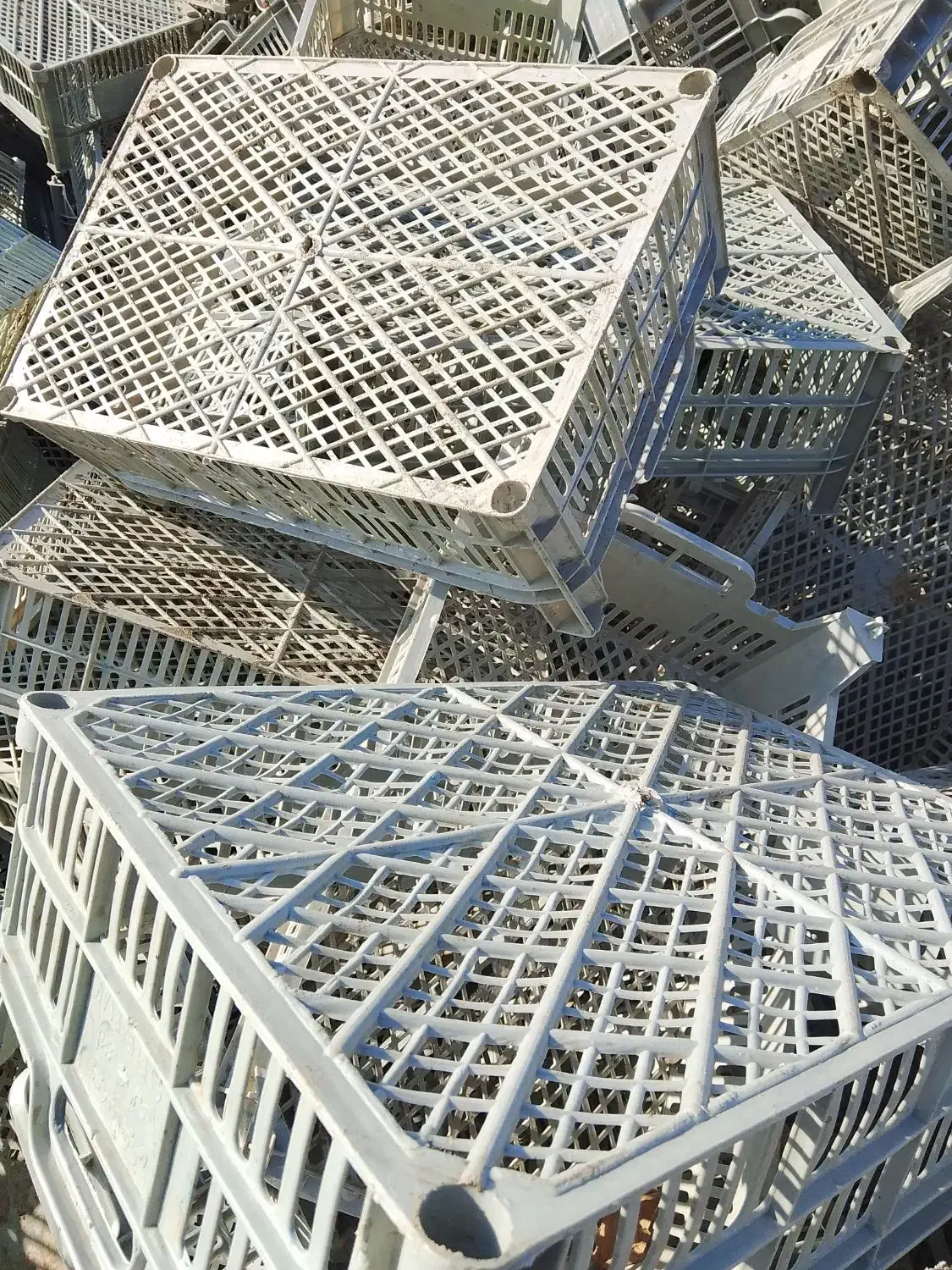 سبد میوه|ظروف نگهدارنده، پلاستیکی، یکبارمصرف|جیرفت, |دیوار