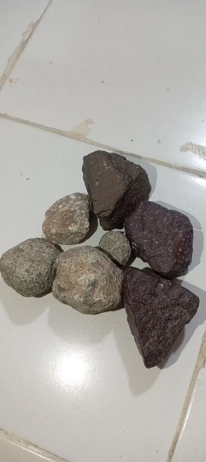 سنگ|کلکسیون اشیاء عتیقه|پرند, فاز ۲|دیوار