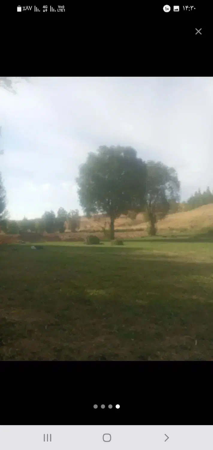 یونجه به شرط|لوازم جانبی حیوانات|کوهرنگ, |دیوار