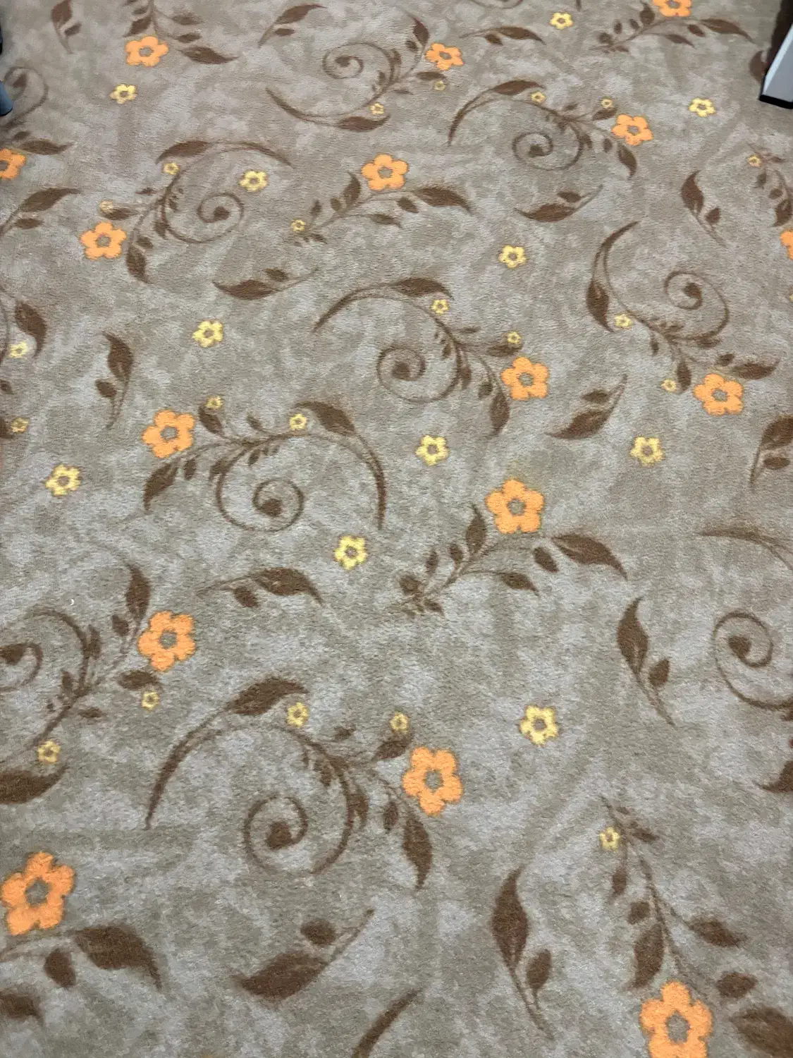 موکت ۱۲متری|موکت|چهاردانگه (تهران), |دیوار