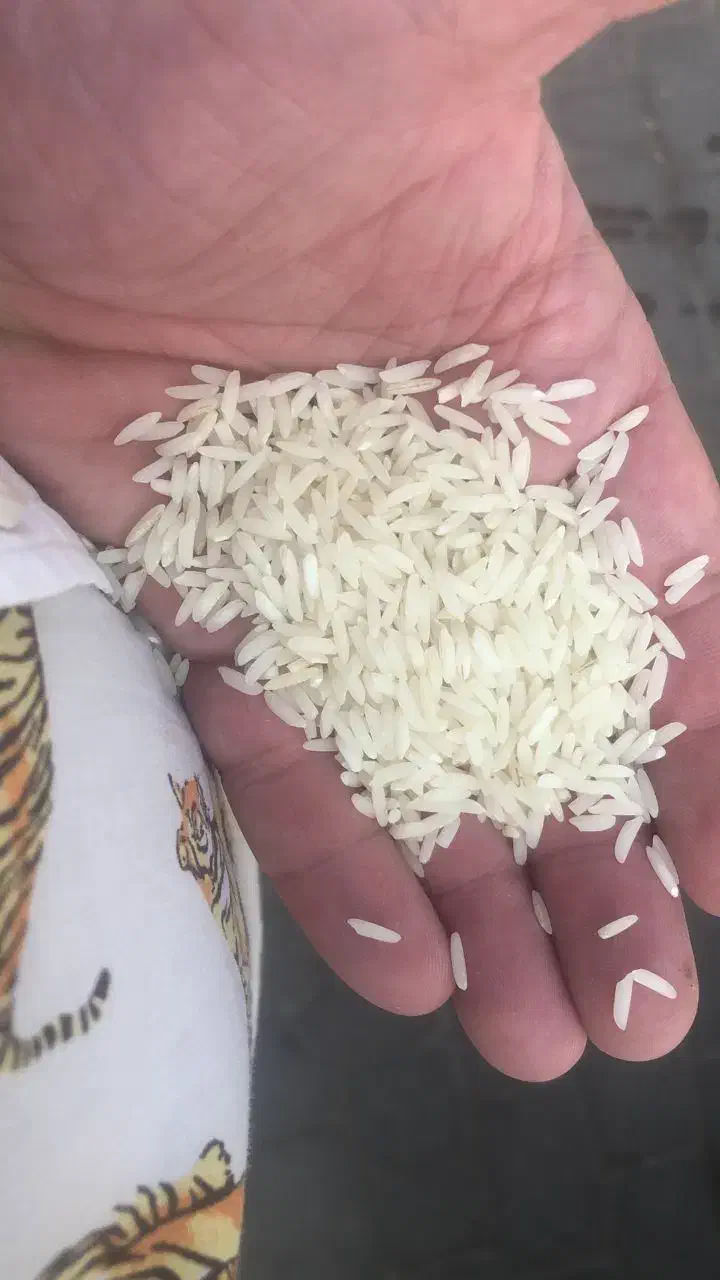 فروش ویژه برنج اقساطی|خوردنی و آشامیدنی|کرج, کرج نو|دیوار