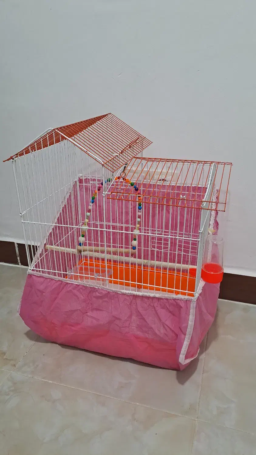 قفس پرنده|لوازم جانبی حیوانات|رشت, پل تالشان|دیوار