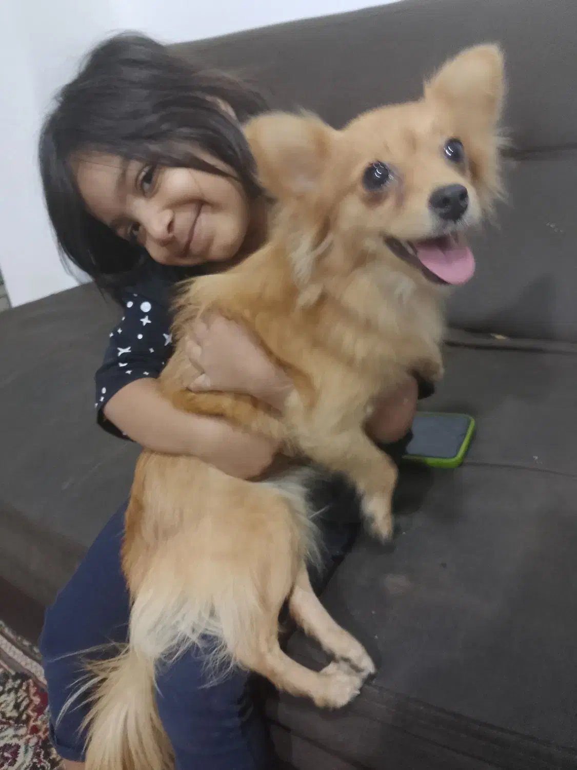 آشپزی پامر|سگ|خمیر, |دیوار