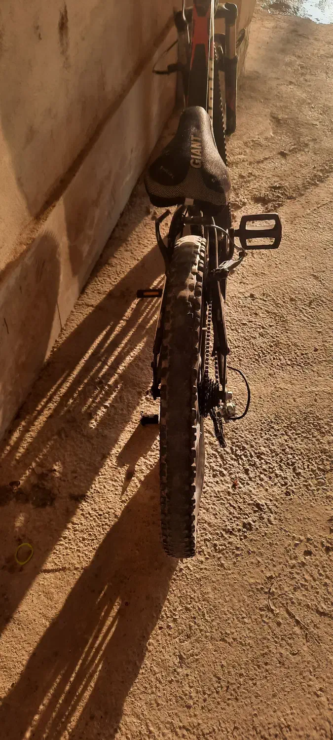 دوچرخه ۲۶پوما|دوچرخه، اسکیت، اسکوتر|گالیکش, |دیوار