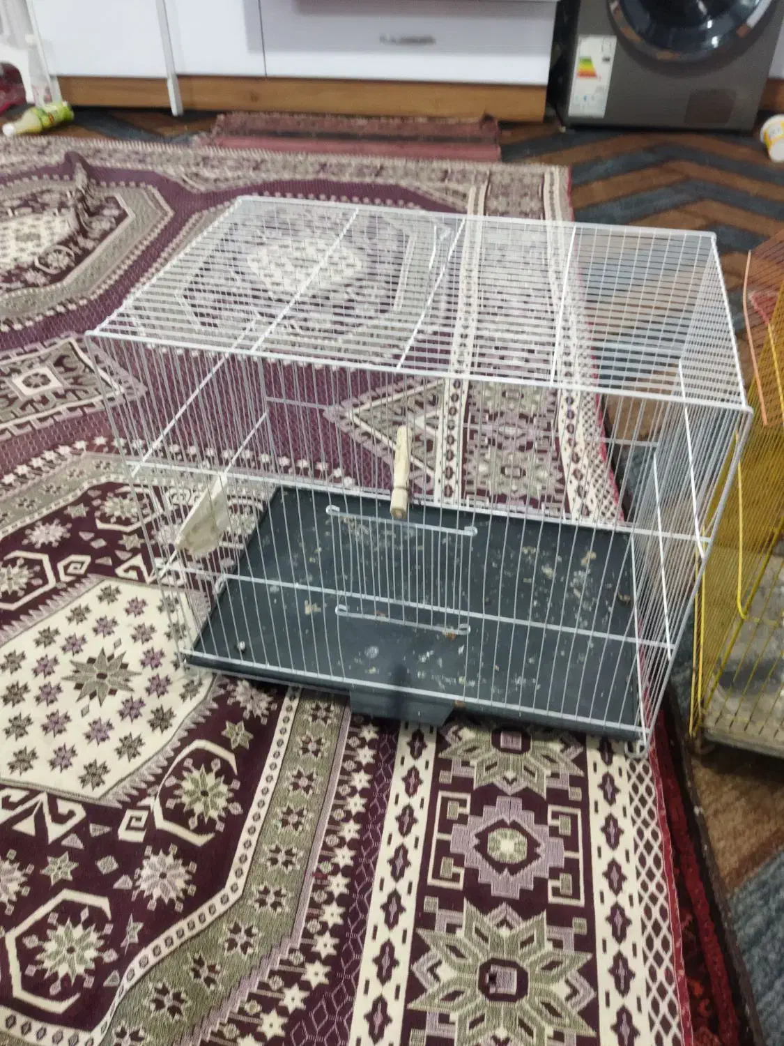 قفس پرنده|لوازم جانبی حیوانات|مشهد, بهارستان|دیوار