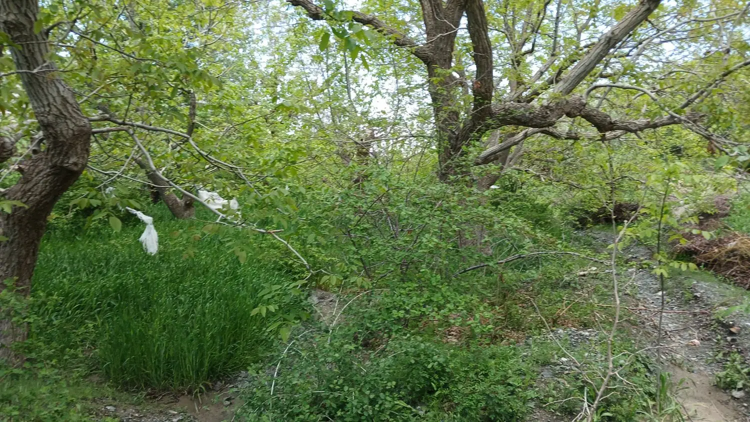 تصویر 3