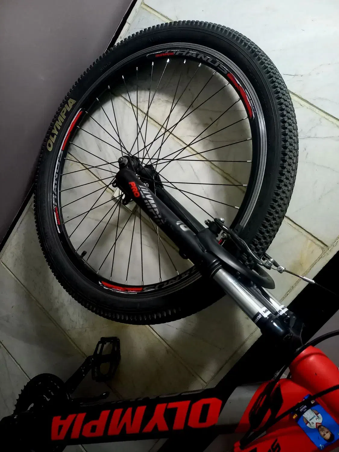 دوچرخه ۲۶ سالم|دوچرخه، اسکیت، اسکوتر|ری, جوانمرد قصاب|دیوار