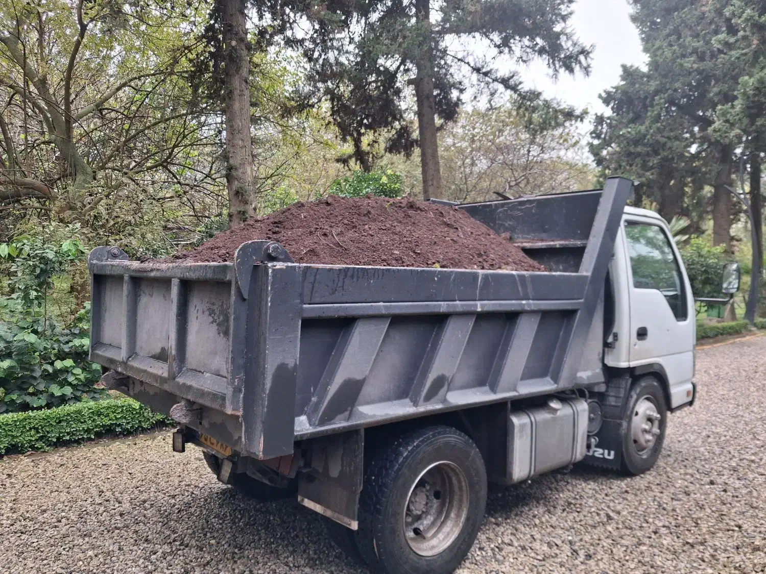 کود گاوی خشک باغ باغچه|خدمات باغبانی و درختکاری|رویان, |دیوار