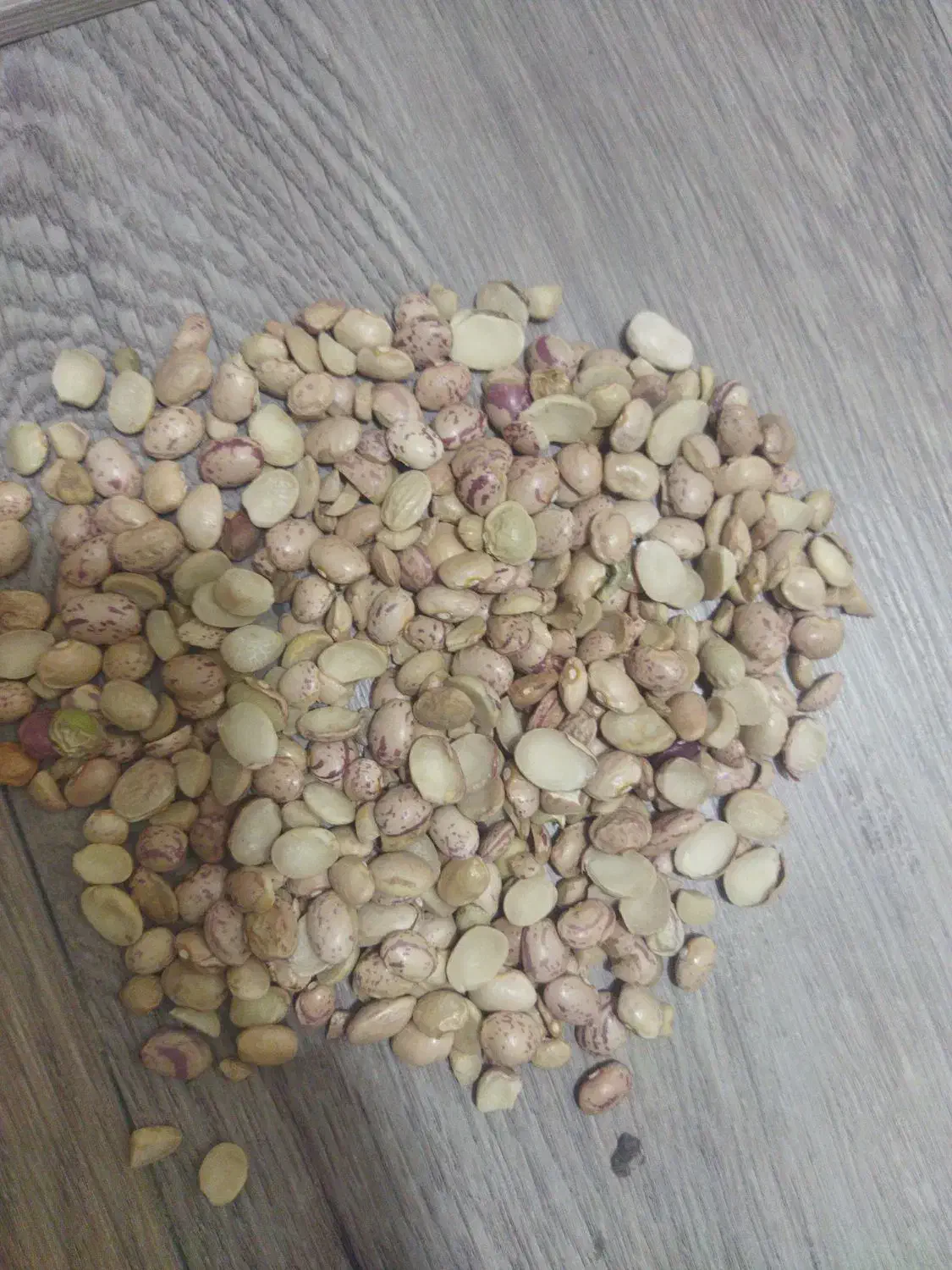 لوبیای دولپه اشی|خوردنی و آشامیدنی|شیراز, گلشن|دیوار