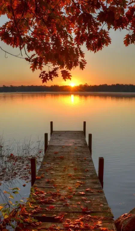 فروش خانه کلنگی|فروش خانه و ویلا|خنج, |دیوار