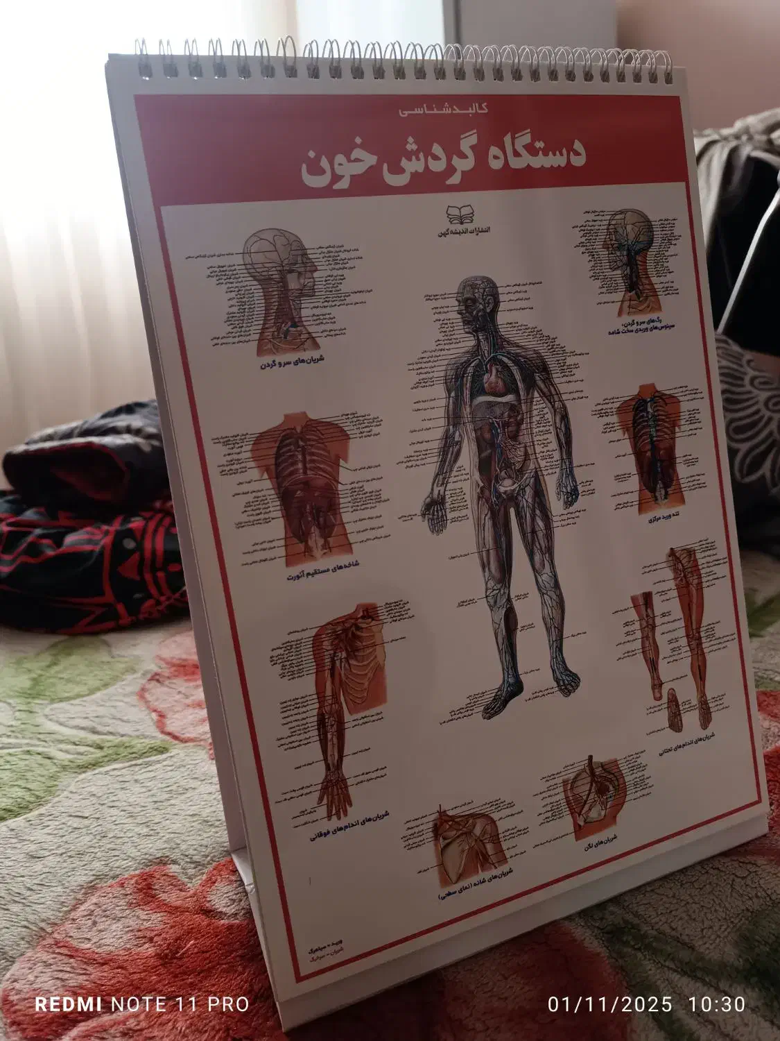 کالبد شناسی آناتومی بدن انسان علوم ورزشی پزشکی|کتاب و مجله آموزشی|مشهد, جانباز|دیوار