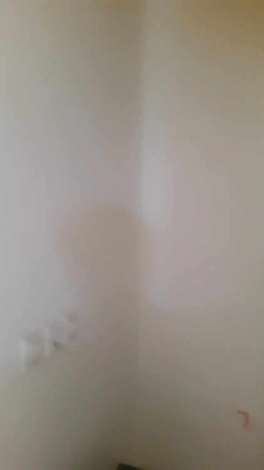 مغازه اجاره ای|اجارهٔ مغازه و غرفه|قائن, |دیوار