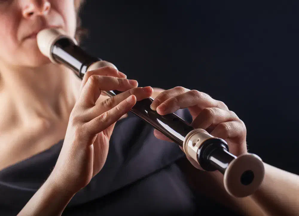 آموزش فلوت ریکوردر|خدمات آموزشی|تهران, ستارخان|دیوار