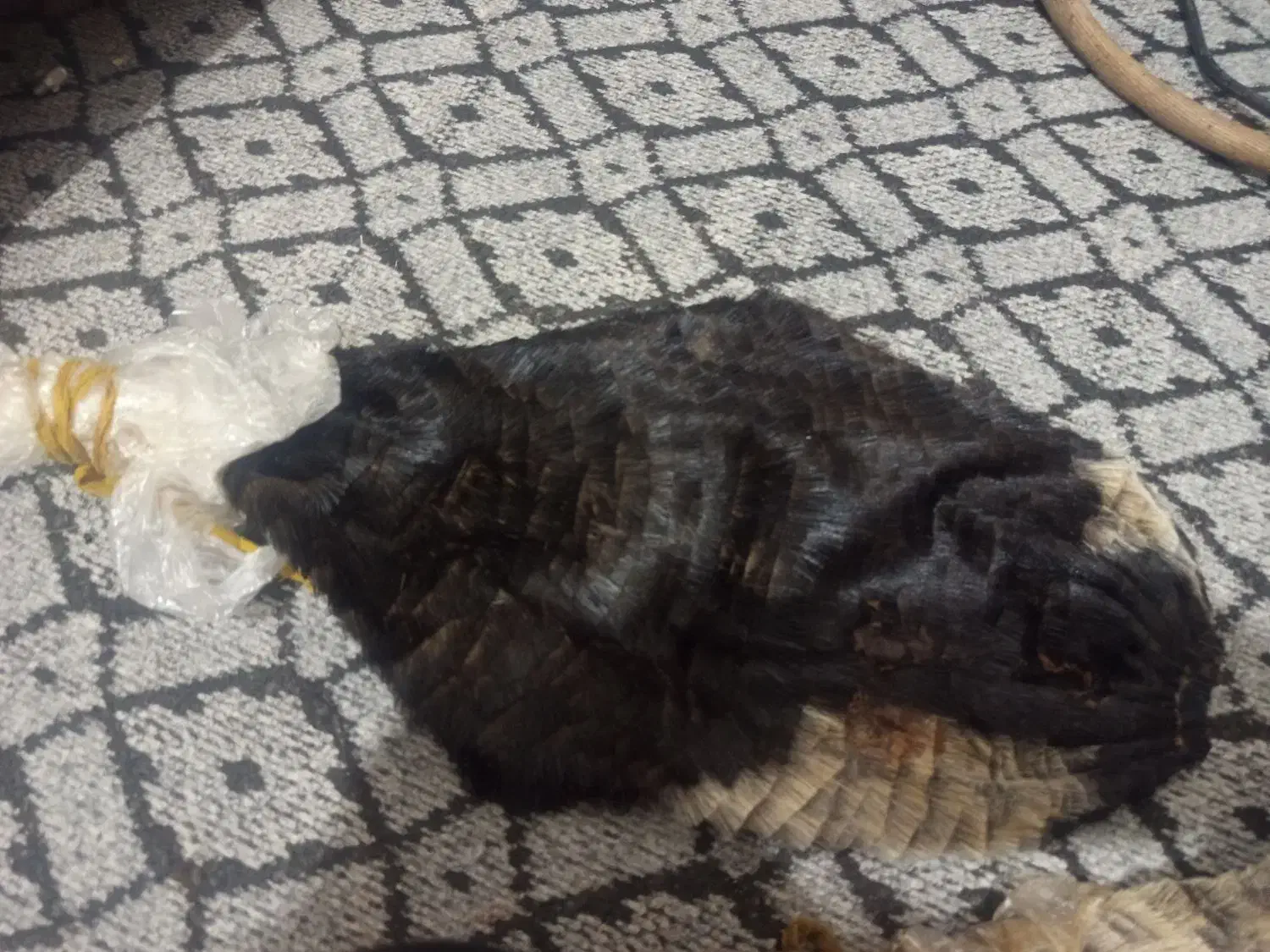 خیگ فروشی|ظروف نگهدارنده، پلاستیکی، یک‌بارمصرف|رامهرمز, |دیوار