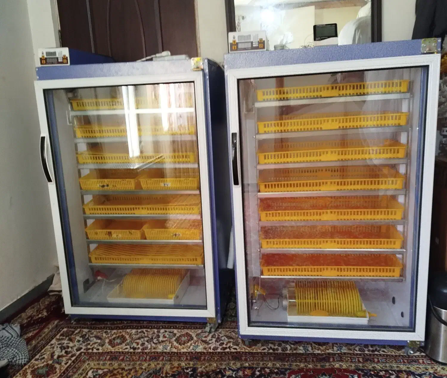 تخم مرغ . اردک . بوقلمون . غاز .شراکتی|ماشین‌آلات صنعتی|گنبد کاووس, |دیوار