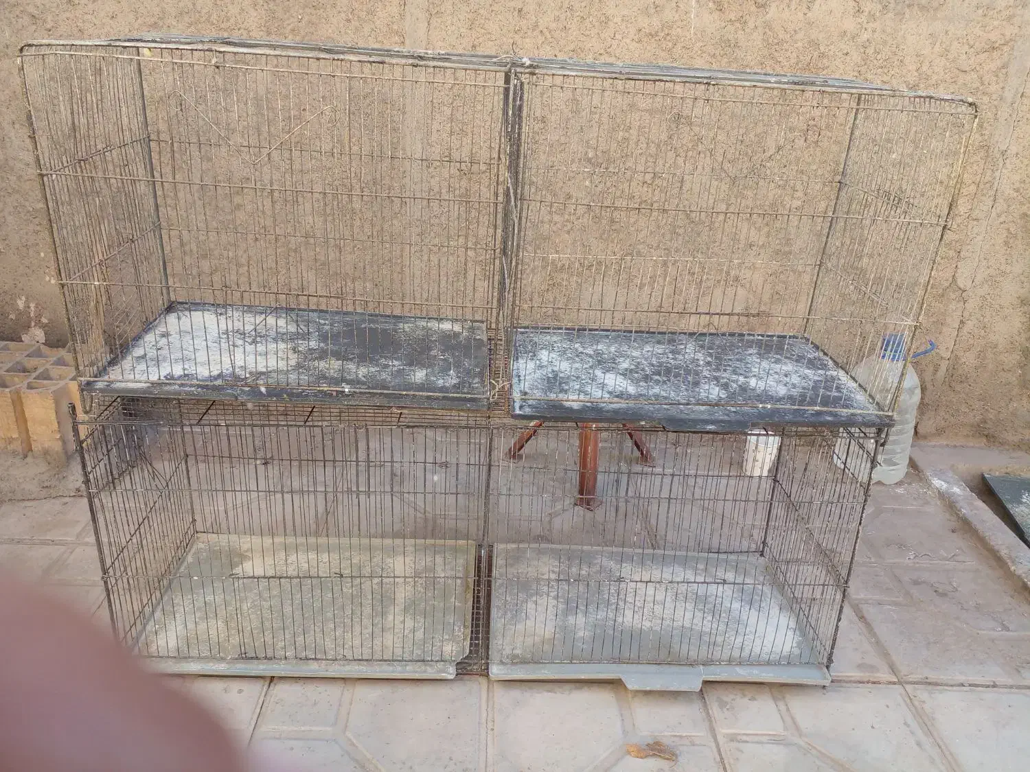 پرنده. قفس معمولی و جوجه پران|لوازم جانبی حیوانات|رفسنجان, |دیوار