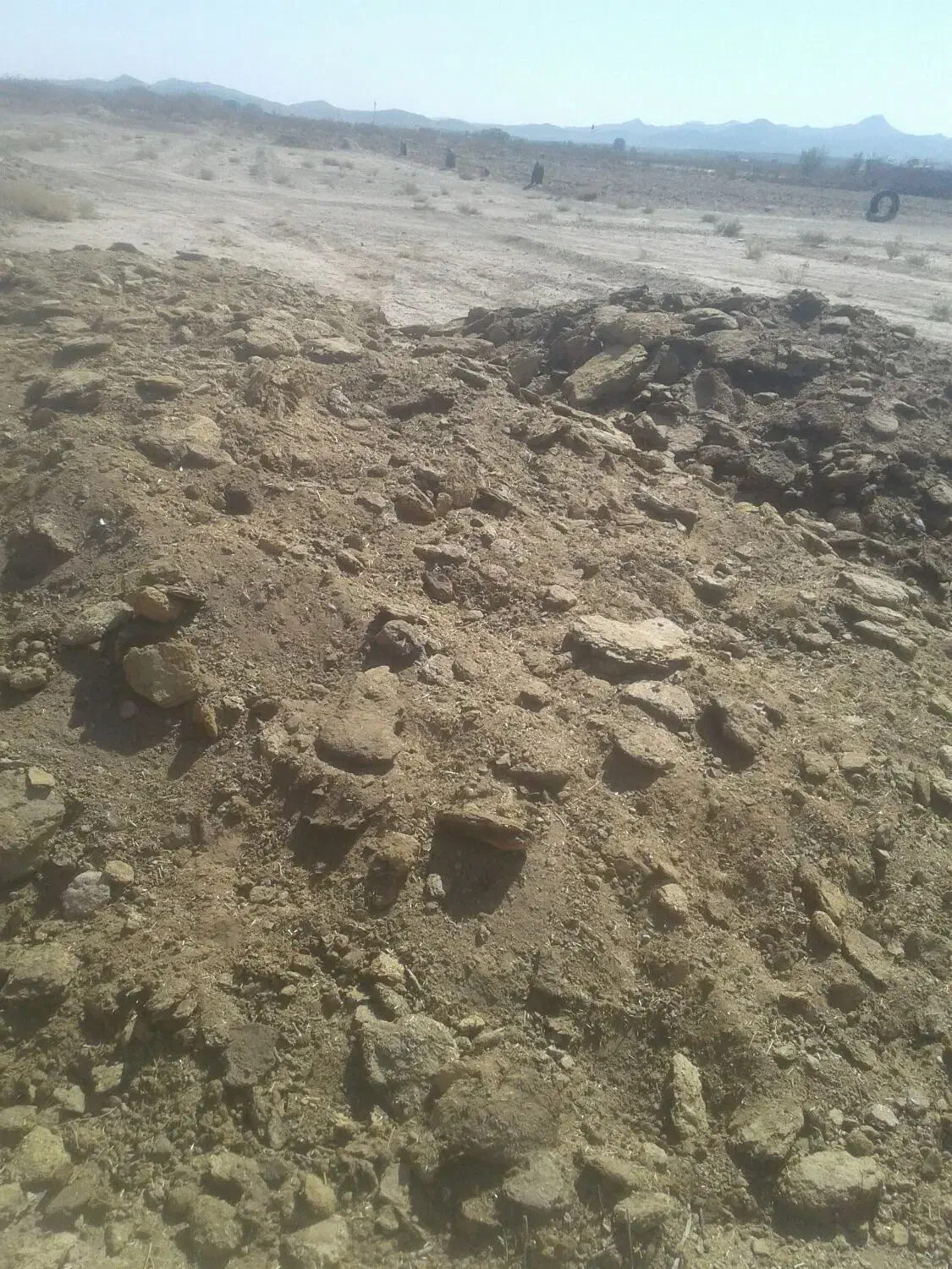 کودگوسفندی فروشی|لوازم جانبی حیوانات|فردوس (خراسان), |دیوار