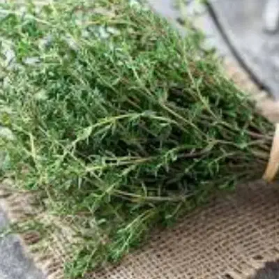 درمان باداروی محلی|خدمات آرایشگری و زیبایی|دهلران, |دیوار