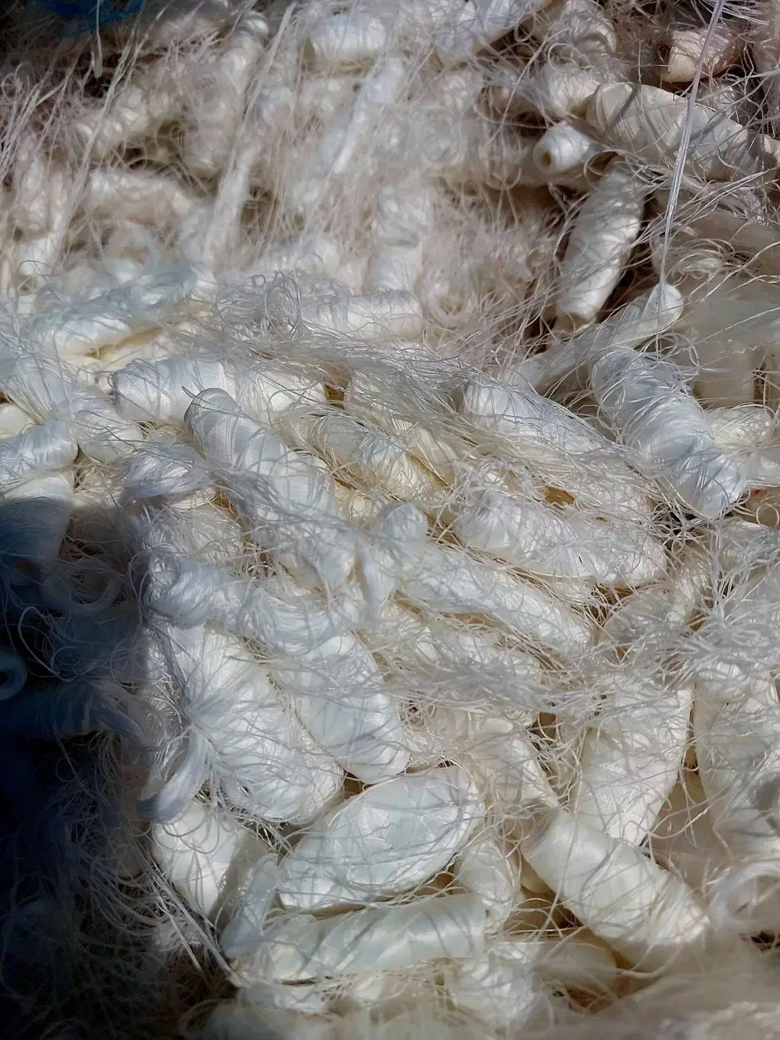 پلی استر ، پنبه ، نخ پلی استر و پنبه|عمدهفروشی|شاهدشهر, |دیوار