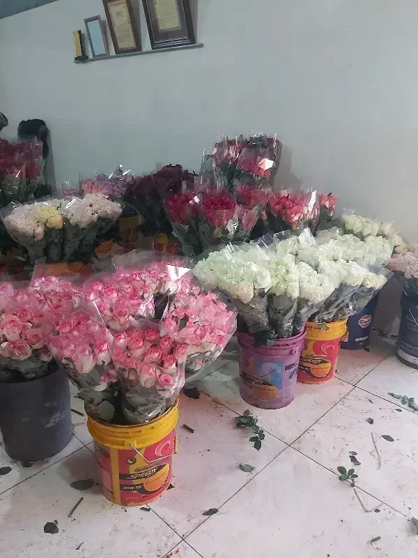 جذب نیرو درگلخانه|استخدام صنعتی، فنی، مهندسی|صحنه, |دیوار