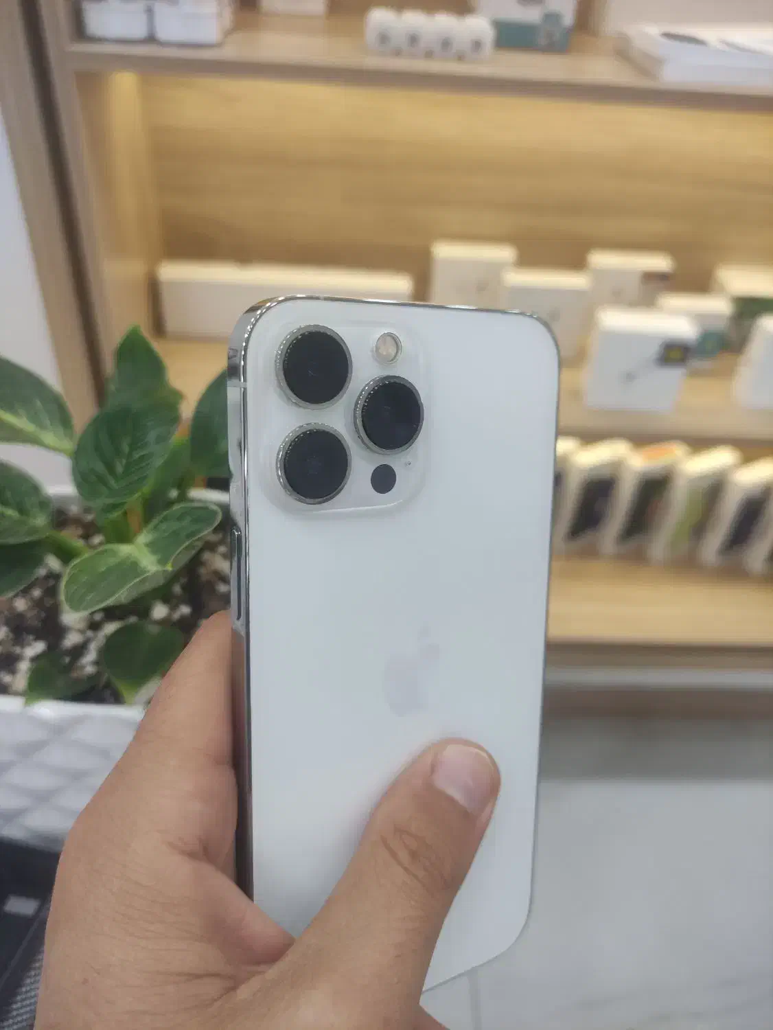 13pro max zaa 256|موبایل|شیراز, عفیفآباد|دیوار