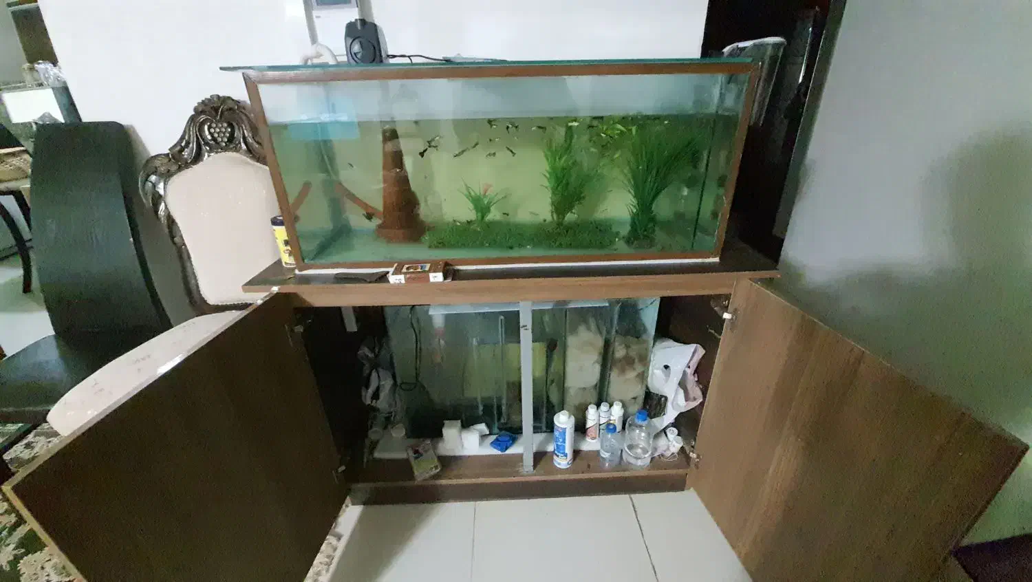 اکواریوم ۱ متری به همراه ماهی گوپی و لوازم|ماهی|شیراز, میانرود|دیوار
