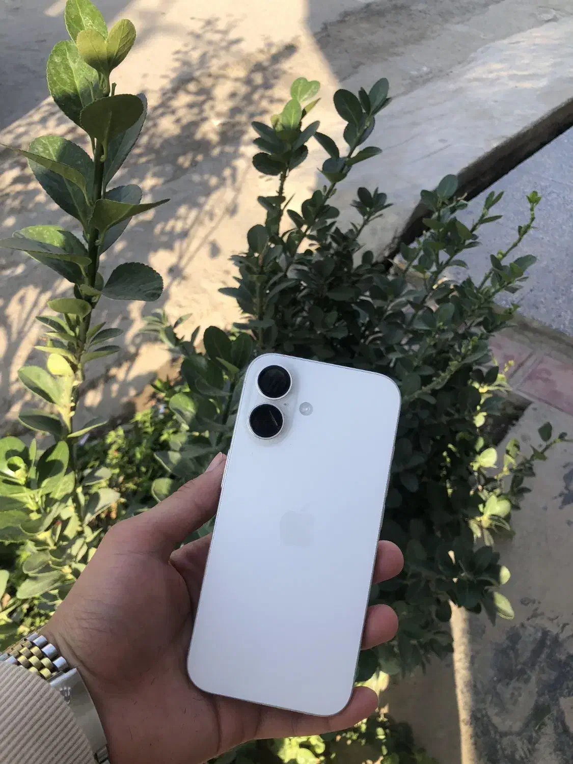 آیفون 16 درحد آکبند|موبایل|گنبد کاووس, |دیوار