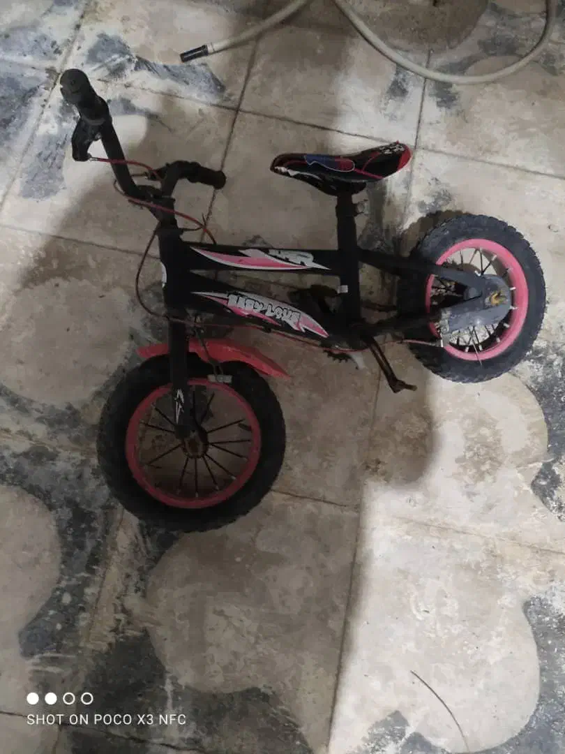 دوچرخه|دوچرخه، اسکیت، اسکوتر|فسا, |دیوار