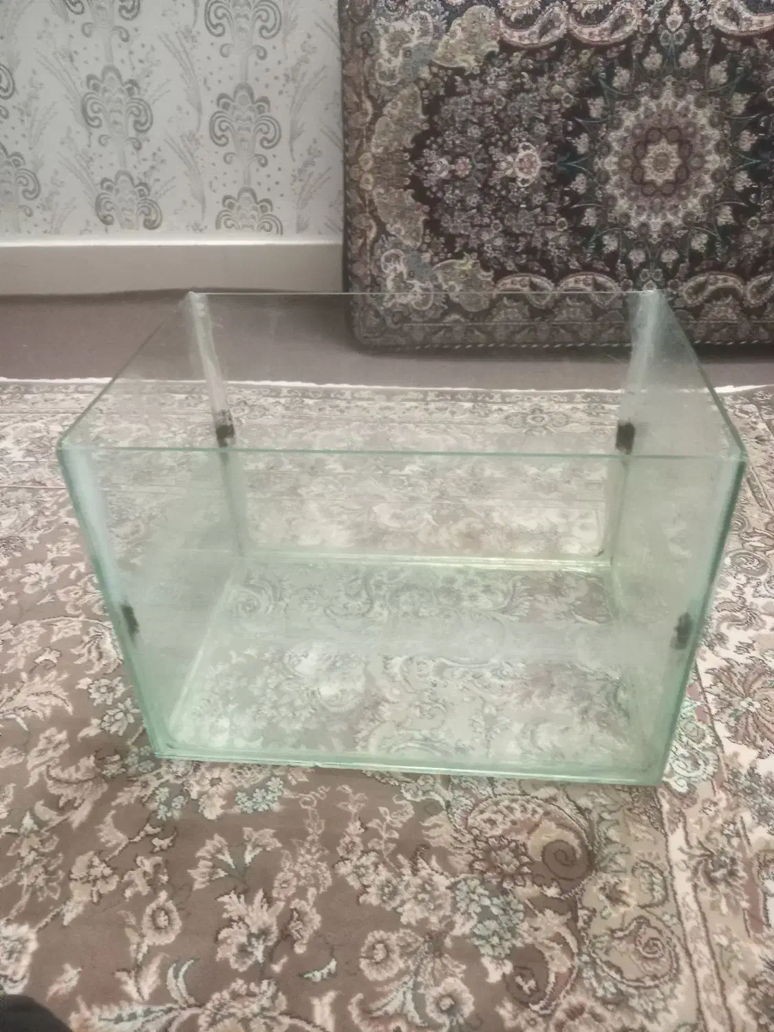 آکواریوم و پمپ تصفیه ی آب|ماهی|خرمدره, |دیوار