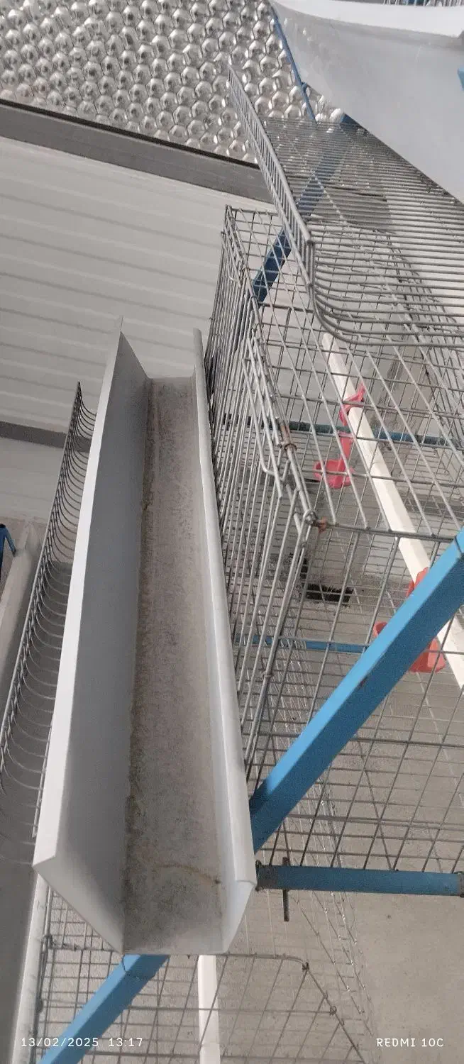 فروش فوری قفس مرغی منبری شش پایه هرپایه شش قفس|حیوانات مزرعه|مه ولات, |دیوار