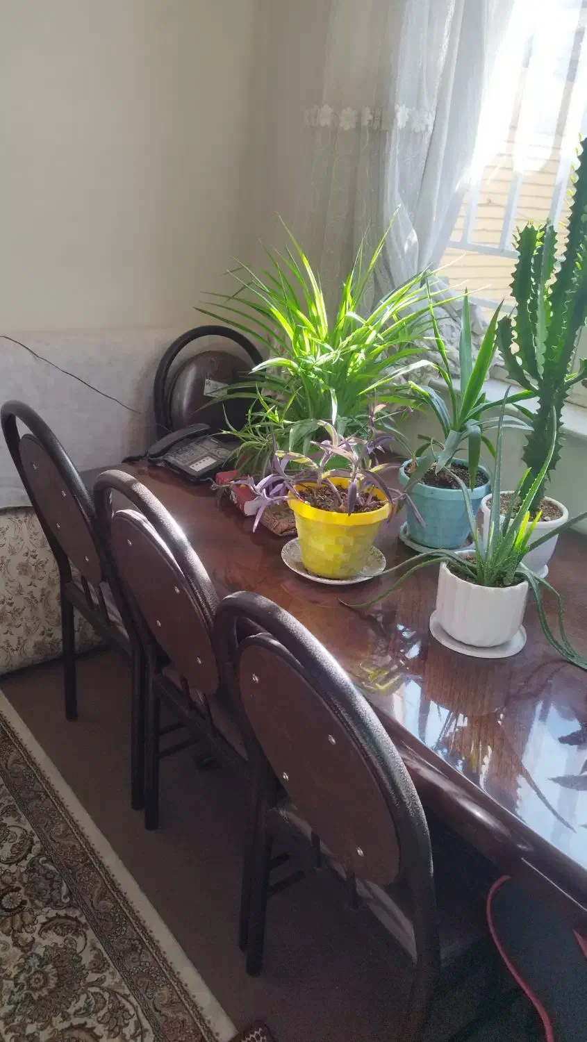 نهارخوریشش نفره|میز و صندلی غذاخوری|فولادشهر, A6|دیوار