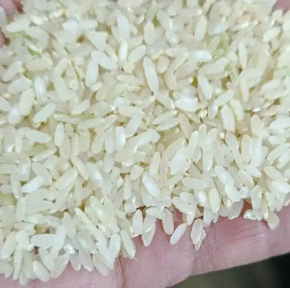 برنج عنبربو / عنبر بو کامفیروزی با عطر و طعم عالی|خوردنی و آشامیدنی|شیراز, داریون|دیوار