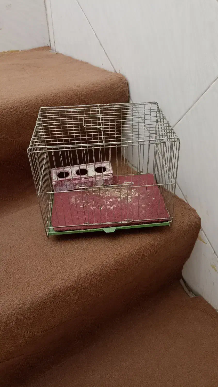 ۳ عدد قفس|لوازم جانبی حیوانات|قم, شاه ابراهیم|دیوار