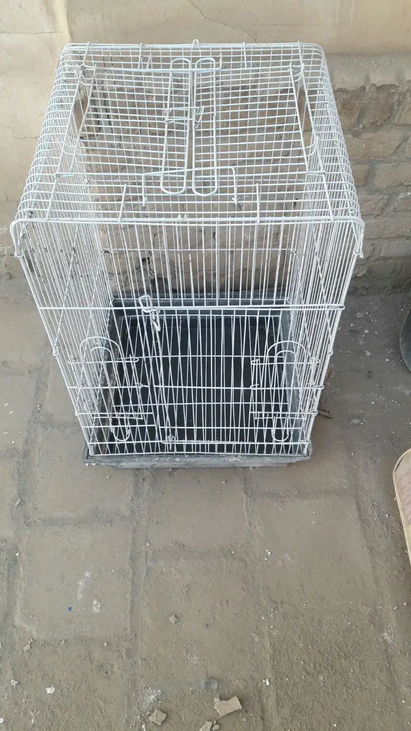 قفس کاسکویی|لوازم جانبی حیوانات|کاشان, امام خمینی|دیوار