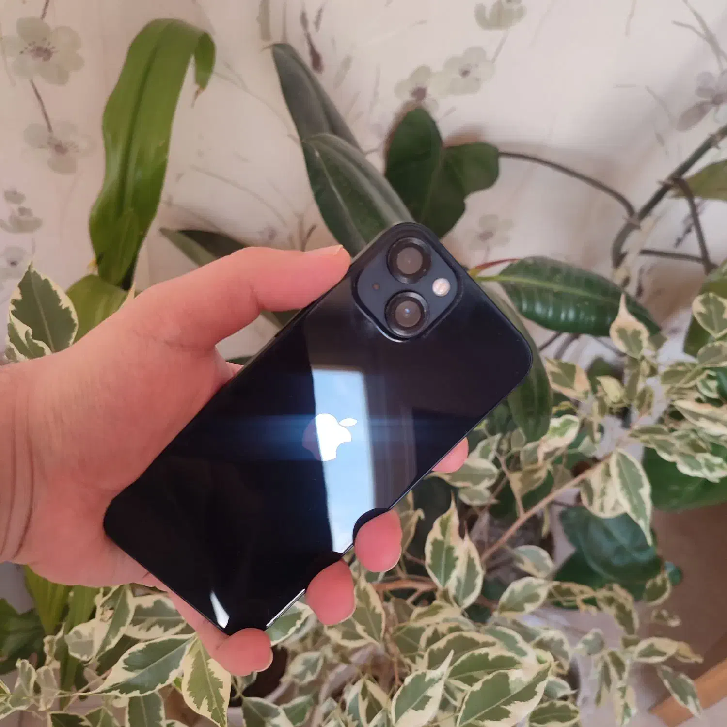 ایفون ۱۳|موبایل|اراک, |دیوار