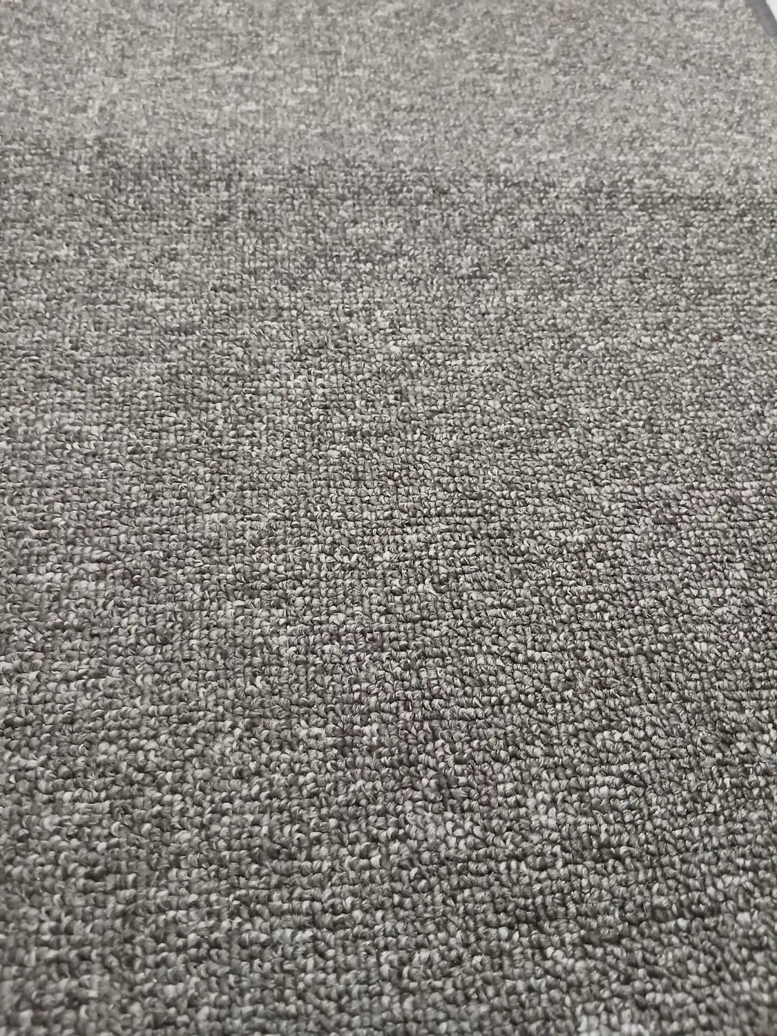 موکت|موکت|اهواز, سپیدار|دیوار