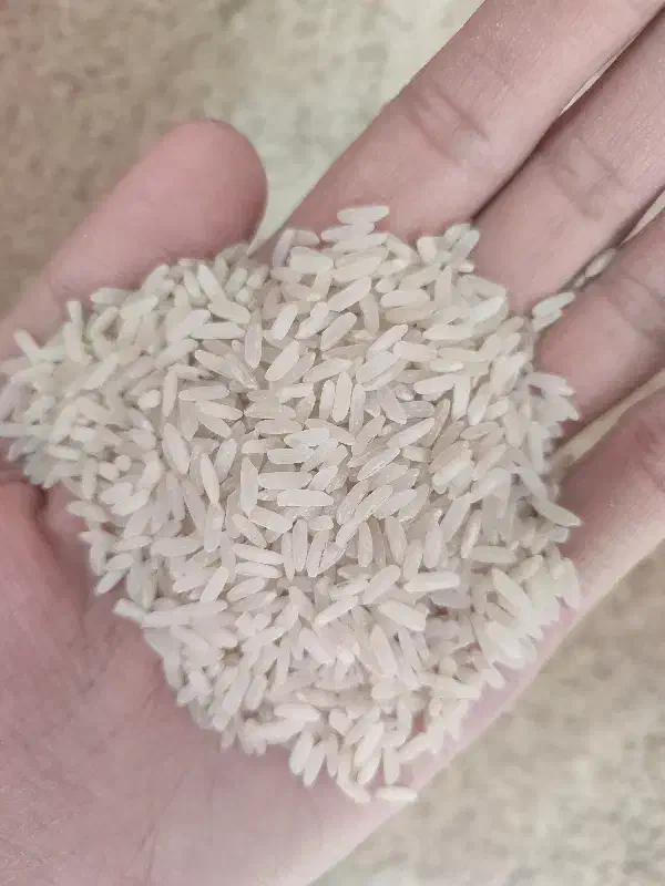 برنج پاکستانی 40 کیلویی|خوردنی و آشامیدنی|سنندج, |دیوار