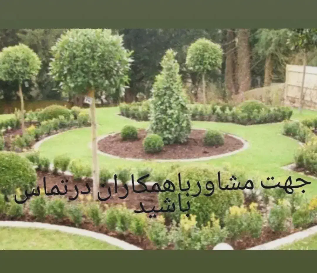 حیاط سازی ونگه داری گل گیاه|خدمات باغبانی و درختکاری|کلارآباد, |دیوار