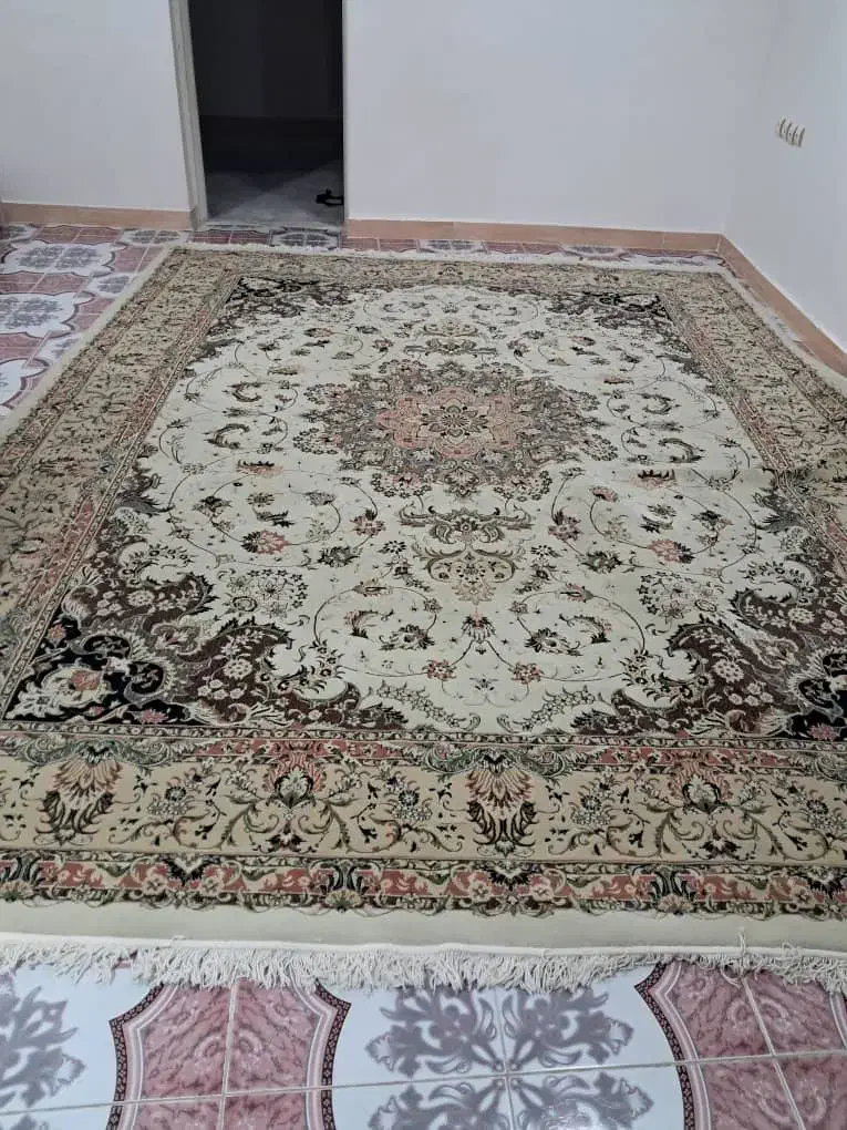 فرش ۱۲متری|فرش|رشت, سلیمانداراب|دیوار