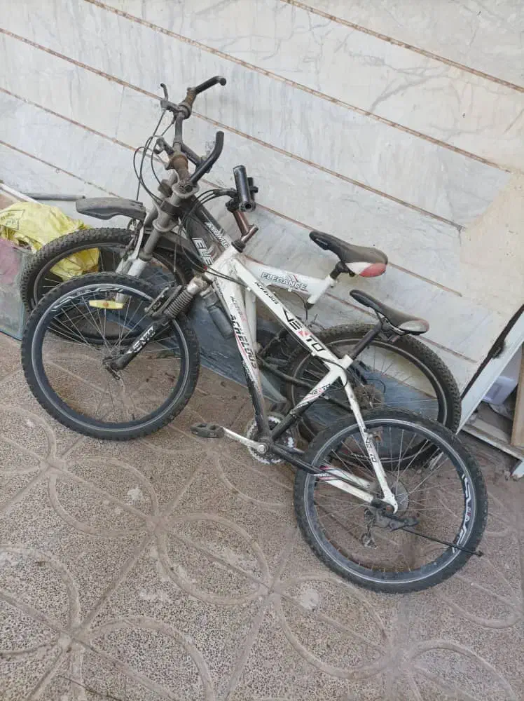 فروش دوچرخه|دوچرخه، اسکیت، اسکوتر|بوئین زهرا, |دیوار