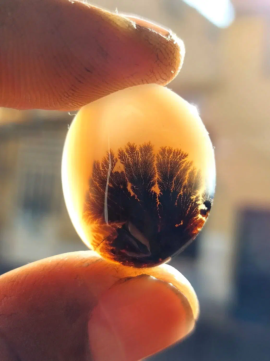 نگین  شجر  عقیق   انگشتر|جواهرات|شیراز, ریاستی|دیوار